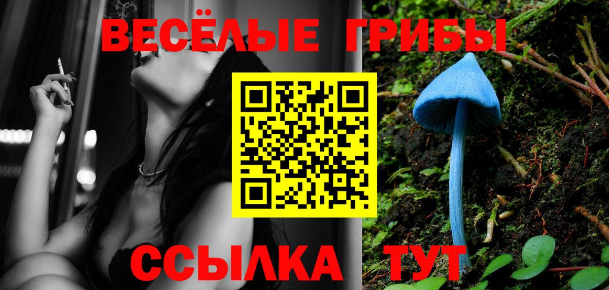 Галлюциногенные грибы MAGIC MUSHROOMS Усть-Джегута